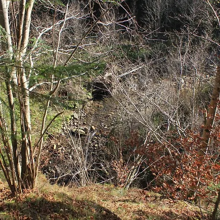 Mountain House Сasa de vacaciones *