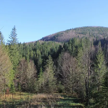 Mountain House Сasa de vacaciones Yaremche